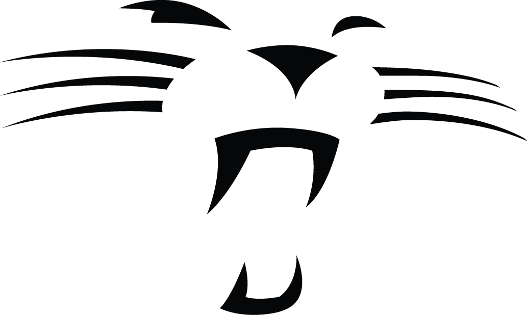 Carolina Panthers 2012-Pres Alternate Logo fabric transfer version 2